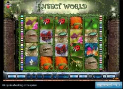 Insect World